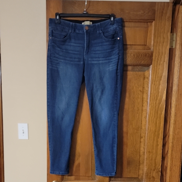 Democracy Blue Ankle Skinny Jeans - Picture 1 of 6